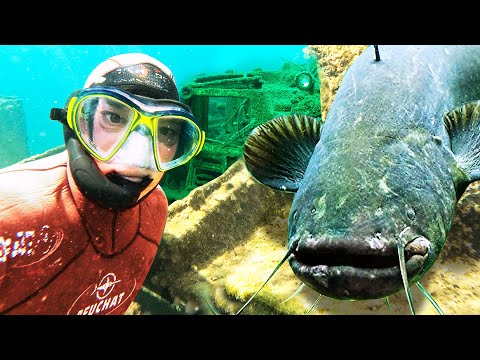 Видео: ПОБЕЛЯ МУ КОСАТА ОТ СОМА В КРАНА НА ЧЕЛОПЕЧЕНЕ!