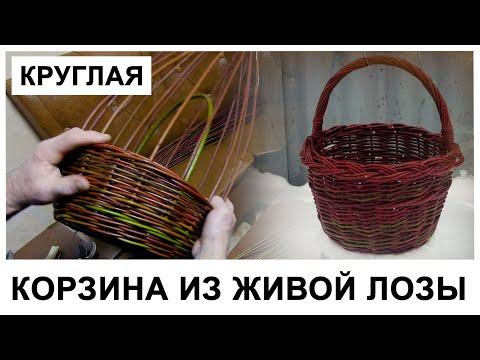 Видео: КРУГЛАЯ КОРЗИНА ИЗ ЖИВОЙ ЛОЗЫ/ROUND BASKET #лозоплетение