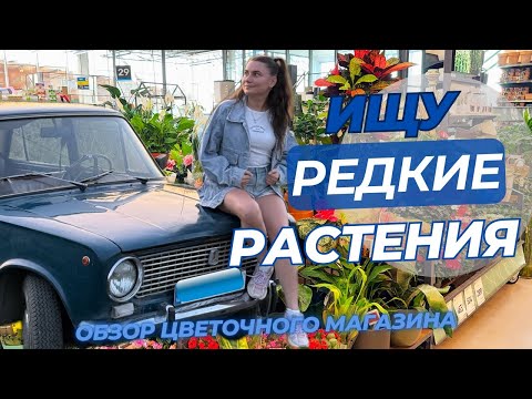 Видео: В поиске РЕДКИХ РАСТЕНИЙ! Обзор цветочного магазина.