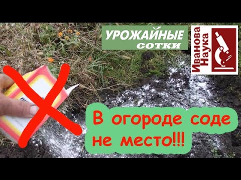 Видео: Гоните соду с огорода! Очередные косяки блогеров на огородную тематику!