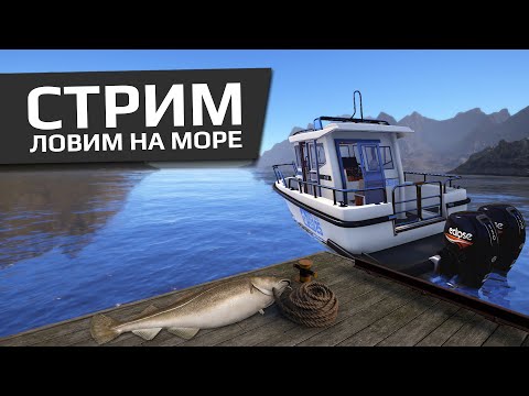 Видео: РУССКАЯ РЫБАЛКА 4 - Норвежское море - Треска на Rigal 20 2S / Стрим