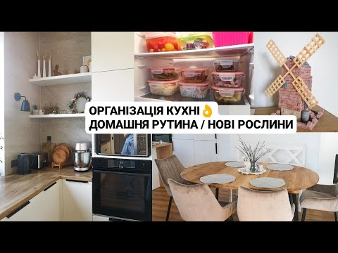 Видео: ОРГАНІЗАЦІЯ КУХНІ 👌Зберігання в холодильнику / нові рослини / прибирання