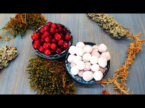 Видео: Клюква 🔴 в сахарной пудре ⚪