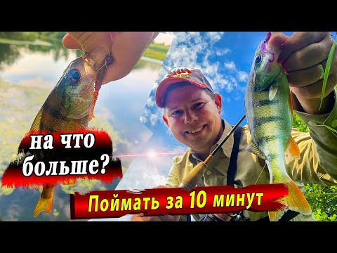 Видео: Окуневый Батл | Поймать за 10 минут!!! | Jara Baits Nano series