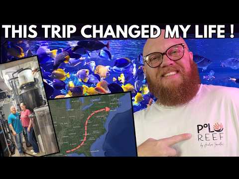 Видео: Этот рифовый аквариум навсегда изменил моё отношение к этому хобби — Polo Reef