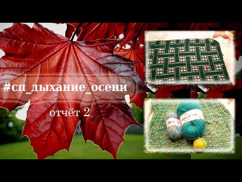 Видео: СП Дыхание осени / Отчёт 2 / Участник 31 Юбка довязана! #сп_дыхание_осени #сп_дыхание_осени_отчет2
