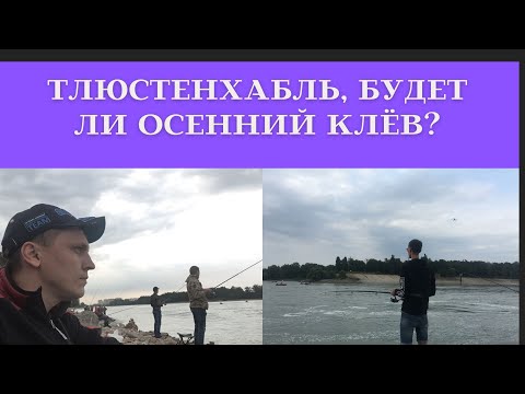Видео: Рыбалка на Кубани  Тлюстенхабль
