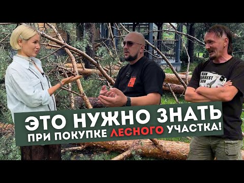 Видео: Лесной участок! Как правильно выбрать? И что делать после приобретения?