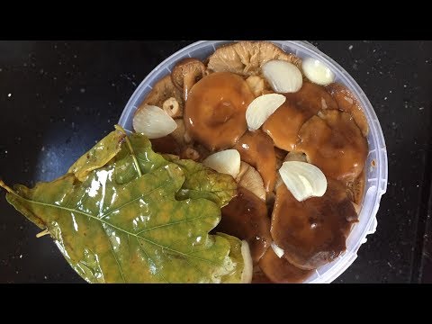 Видео: Солёные горькушки