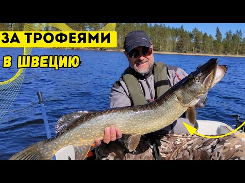 Видео: Нашли ОЗЕРО МЕЧТЫ и поймали ТРОФЕЙНЫХ ЩУК !!! Швеция 2025 !!!