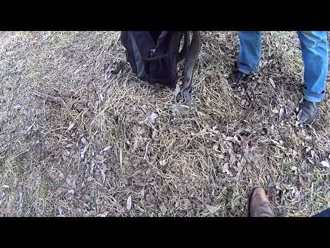 Видео: Браконєрство річка Серет біля села Микулинці