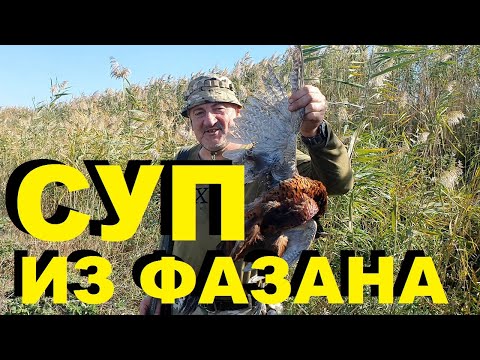 Видео: СУП ИЗ ФАЗАНА. ОХОТА НА КУБАНИ. РЕЦЕПТЫ СЮФ