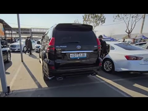 Видео: Captiva Malibu Tayota Prado Laseti Cruzz narxlari Andijon moshina Avto bozor Каптива Малибу Тайота 