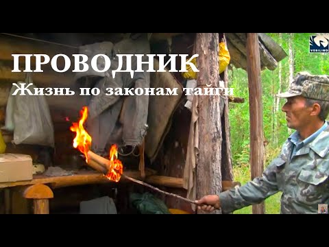 Видео: Проводник. Жизнь по законам тайги 2 / Siberia. Living by taiga rules / Сибирь