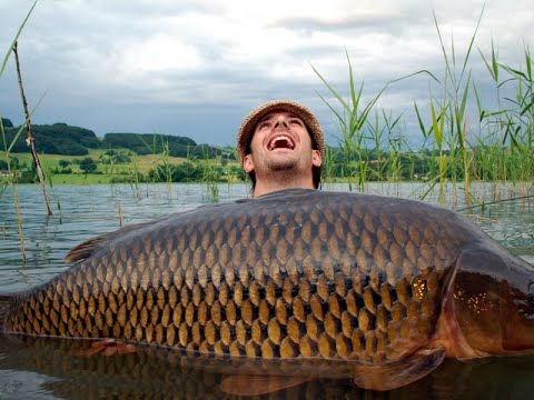 Видео: ВОТ ЭТО РЫБАЛКА В АТЫРАУ! КАК ПОЙМАТЬ САЗАНА?!