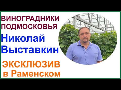 Видео: Коллекция винных сортов винограда Николая Выставкина и его винодельня. Раменское.