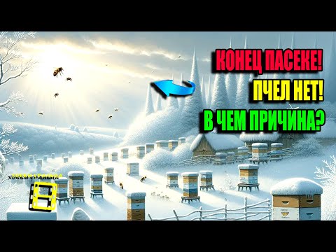 Видео: КУДА ИСЧЕЗАЮТ ПЧЕЛЫ ОСЕНЬЮ? СЛЁТ ПЧЁЛ? ПАСЕКЕ КОНЕЦ. ДЛЯ НАЧИНАЮЩИХ ПЧЕЛОВОДОВ 24-38 @advocat_1982