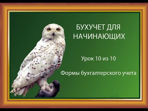 Видео: Урок 10: Формы бухгалтерского учета.