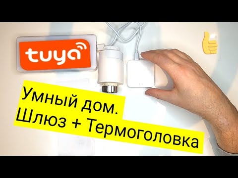 Видео: 1 Умный дом c Tuya.  Шлюз + термоголовки.