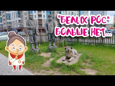 Видео: Девятовка. Район Гродно, где снимали "Белые росы"