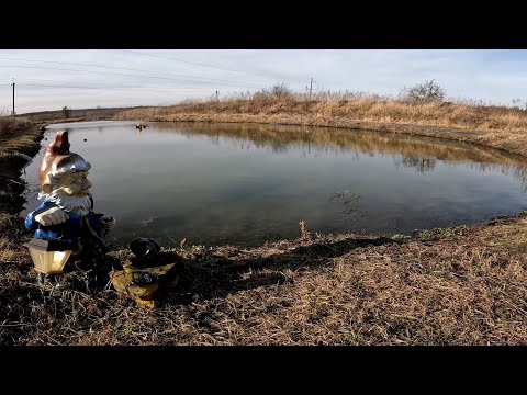 Видео: Пруду 3 года , разведение раков и рыбы вместе огорода)