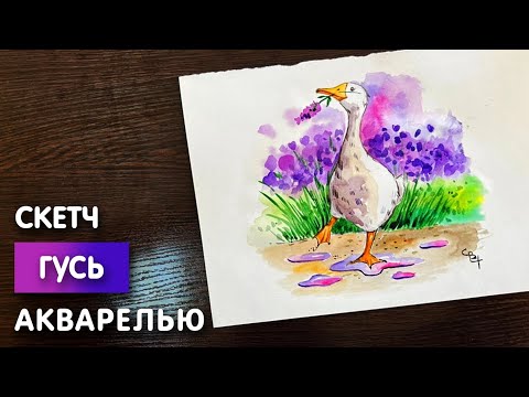 Видео: Легкий рисунок акварелью "Довольный гусь" | Простая срисовка для начинающих
