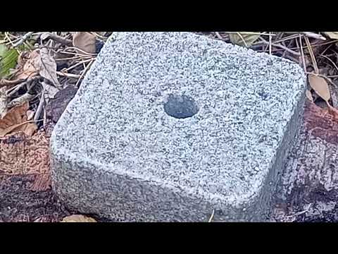 Видео: СОЛОНЧАК ДЛЯ КОСУЛЬ.2.11.25г.