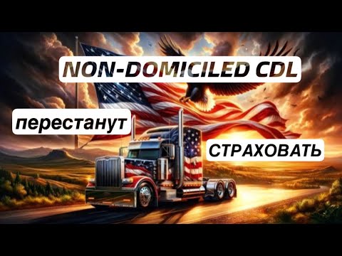 Видео: NON-DOMICILED CDL перестанут страховать?