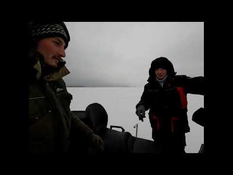 Видео: Кама Чистополь. Огромные Судаки в Panoptix.