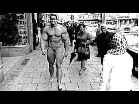 Видео: ВОТ ПОЧЕМУ АРНОЛЬД - ПЛОХОЙ ЧЕЛОВЕК