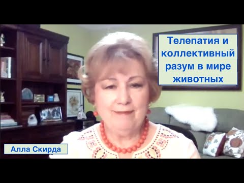 Видео: ЭКСТРАСЕНСОРНЫЕ КАЧЕСТВА, ТЕЛЕПАТИЯ И КОЛЛЕКТИВНЫЙ РАЗУМ В МИРЕ ЖИВОТНЫХ