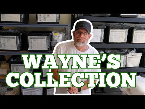 Видео: Распаковка коллекционного наследия | Коллекция покойного Уэйна в масштабе 1/6