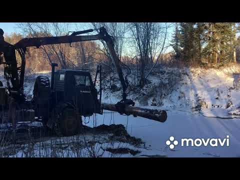 Видео: Заезжаем в лес. Делаем дорогу в делянку.