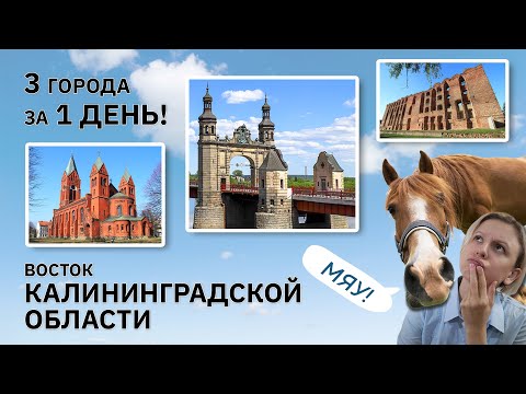 Видео: Самые НЕМЕЦКИЕ ГОРОДА Калининградской области: ЧЕРНЯХОВСК, СОВЕТСК | экскурсия, влог, путешествие