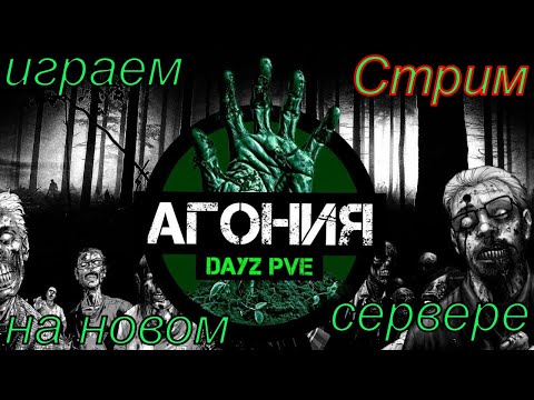 Видео: DayZ [RU] сервер Агония PVE 1 выживаем на новом сервере с другом Алексеем#SCUM#DayZ