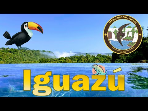 Видео: Аргентина. Iguazú. Водный рай