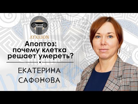 Видео: Апоптоз: почему клетка решает умереть? / Екатерина Сафонова, доцент АмГПГУ