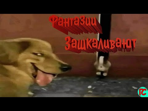 Видео: Попробуй Не Засмеяться Лучшие Приколы 2025 угар до слез смешные видео тест на психику мемы #7