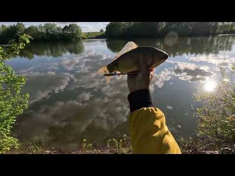 Видео: slingshot fishing(Golden Day)рыбалка с рогаткой