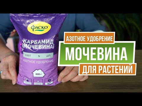 Видео: Чем Полезна Мочевина для почвы ✔️ Применение Карбамида в саду