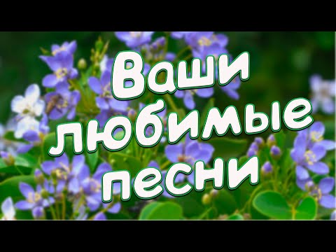 Видео: Заходи и Отдыхай! Песни,которые Вы не забудете никогда!