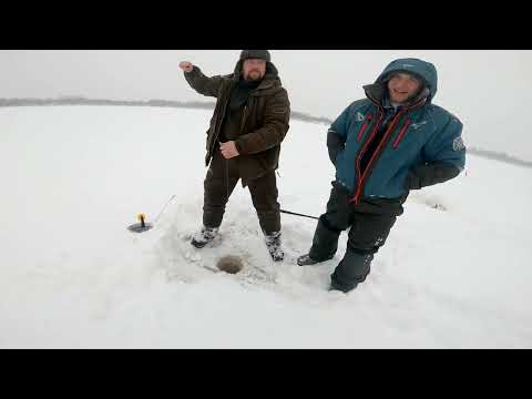 Видео: Рыбалка.Щука умотала троих мужиков 🤣