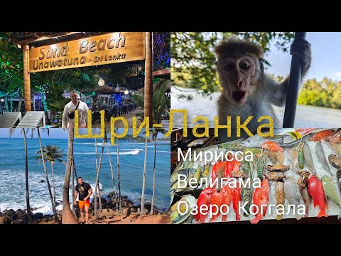 Видео: Шри-Ланка. Мирисса. Велигама. Озеро Коггала. Декабрь 2024