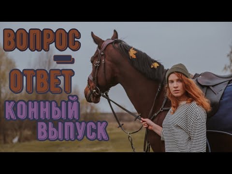 Видео: Вторая лошадь|Переезд|Хочу уйти из конного?|Критика|Цели в спорте|КОННЫЙ ВОПРОС-ОТВЕТ