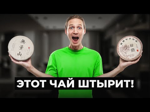 Видео: Какой Пуэр ЛУЧШЕ ШТЫРИТ? Вся правда о Шу и Шен Пуэрах