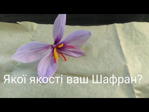 Видео: Якої якості ваш Шафран?