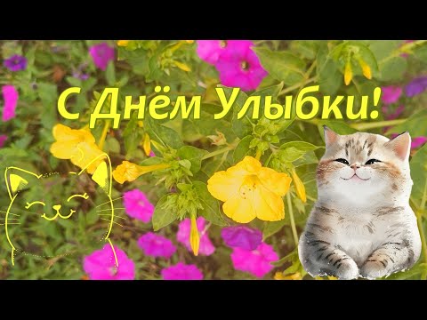 Видео: С Днём Улыбки! Музыкальное поздравление для друзей. 4 октября 2024.