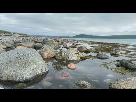 Видео: На полуостров Рыбачий на Ниве
