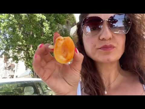 Видео: Абхазия,Сухум/центральный рынок/цены на июнь 2024г