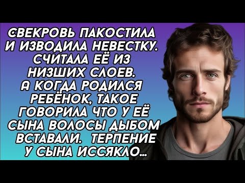 Видео: Свекровь унижала невестку, считая её ниже себя. Терпение сына лопнуло...